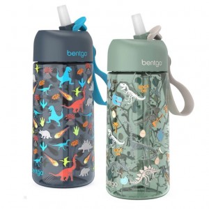 Dinosaur/Dino Fossils Bentgo Prints (2-Pack) Kids' Water Bottle USA | 982031GTM