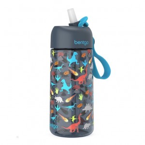 Dinosaur Bentgo Water Bottle Kids' Water Bottle USA | 478930YRX