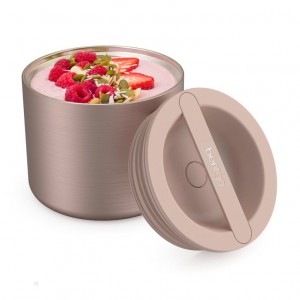 Rose Gold Bentgo Stainless Steel Insulated Adults Food Containers USA | 739162JHI