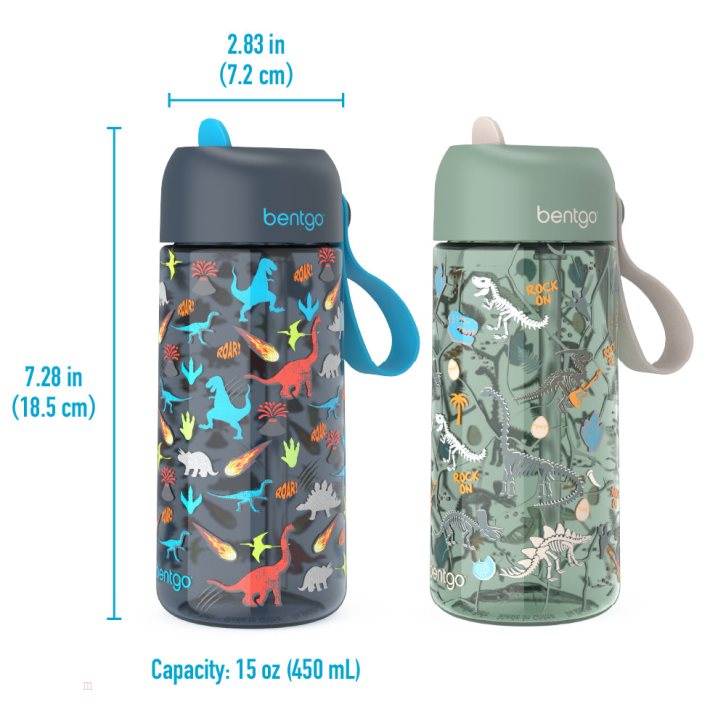 Dinosaur/Dino Fossils Bentgo Prints Water Bottles Kids' Lunch Box USA | 304865JGV