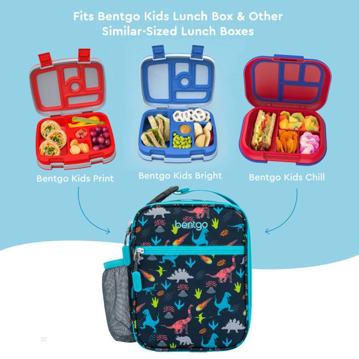 Dinosaur Bentgo Insulated Lunch Tote Kids' Lunch Box USA | 405619VAG