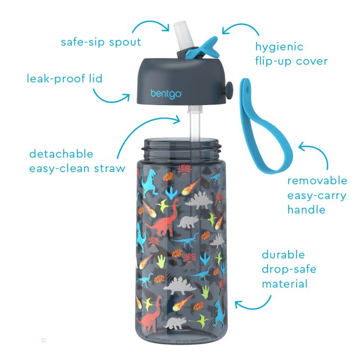 Dinosaur Bentgo Prints Water Bottle & Kids' Lunch Box USA | 347258DSX