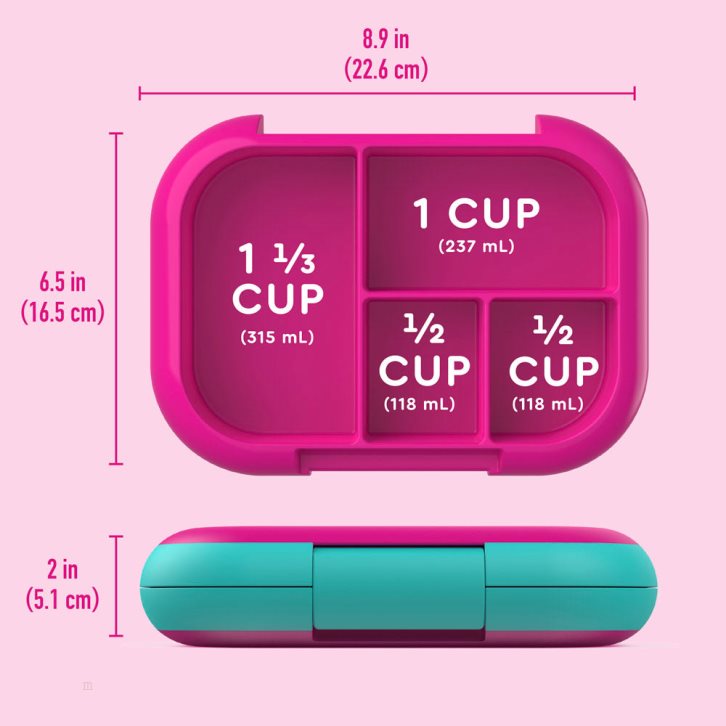 Fuchsia / Turquoise Bentgo Chill (2-Pack) Kids' Lunch Box USA | 092648BXN