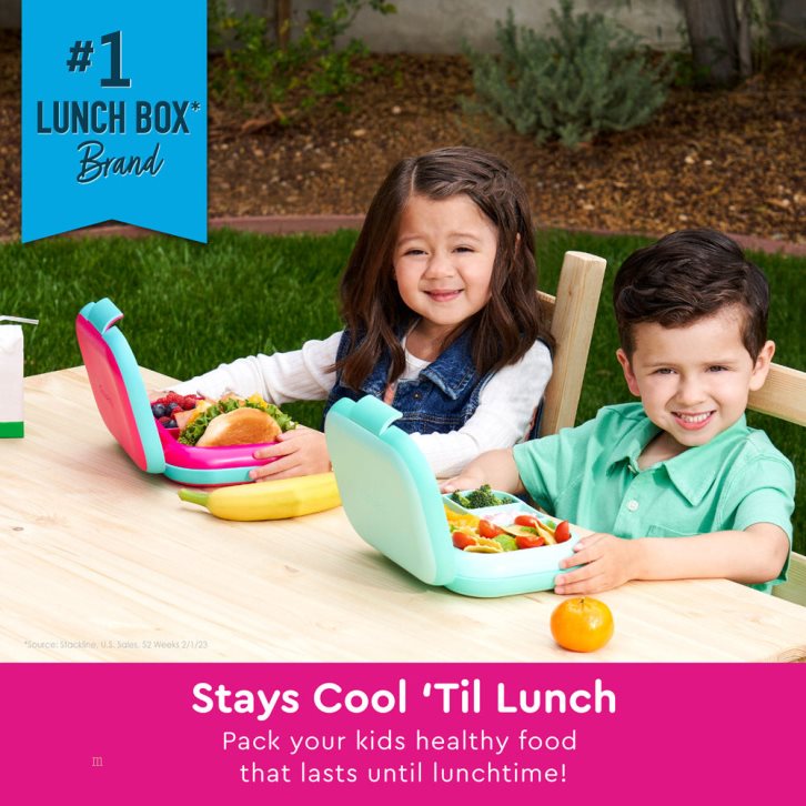 Fuchsia / Turquoise Bentgo Chill Kids' Lunch Box USA | 821546NWX