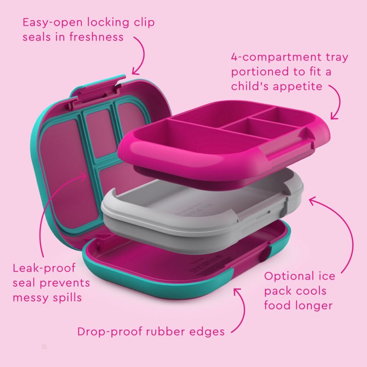 Fuchsia / Turquoise Bentgo Chill Kids' Lunch Box USA | 821546NWX