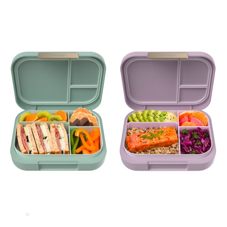 Green Purple Bentgo Modern 2-Pack Adults Lunch Box USA | 649105XLR