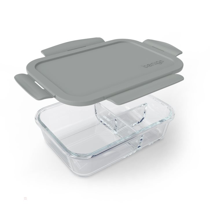 Grey Bentgo Glass Adults Lunch Container USA | 951037VZY