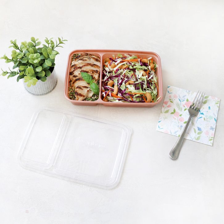 Pink Bentgo Prep 2-Compartment Adults Meal Prep Containers USA | 038241LFM