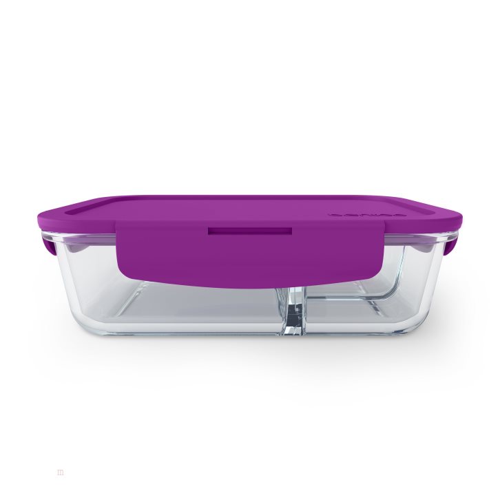 Purple Bentgo Glass Adults Lunch Container USA | 573019XBU