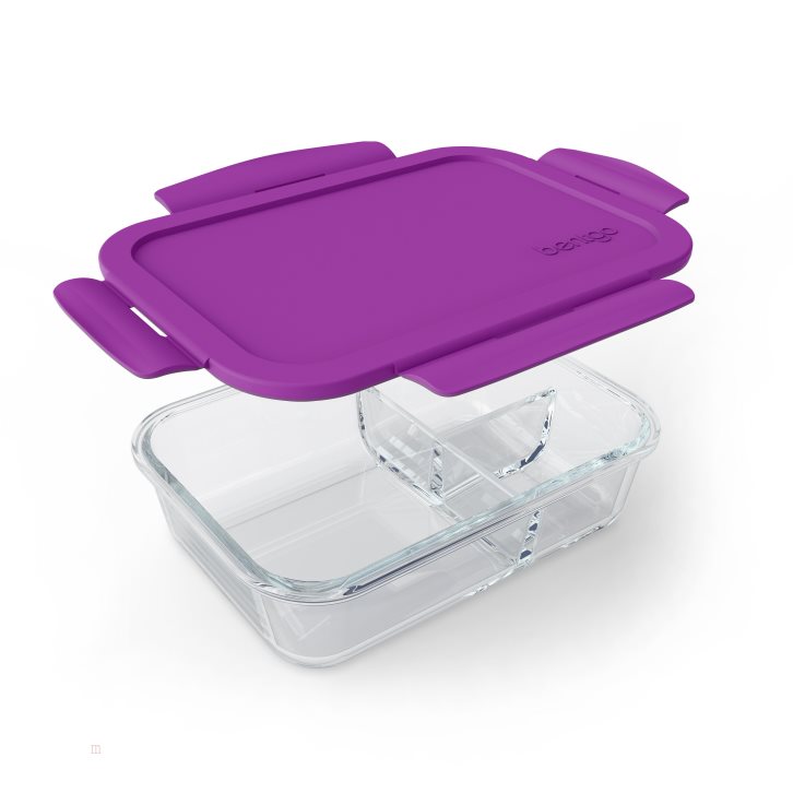 Purple Bentgo Glass Adults Lunch Container USA | 573019XBU