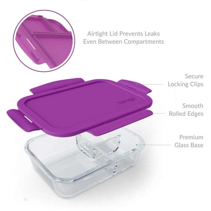 Purple Bentgo Glass Adults Lunch Container USA | 573019XBU