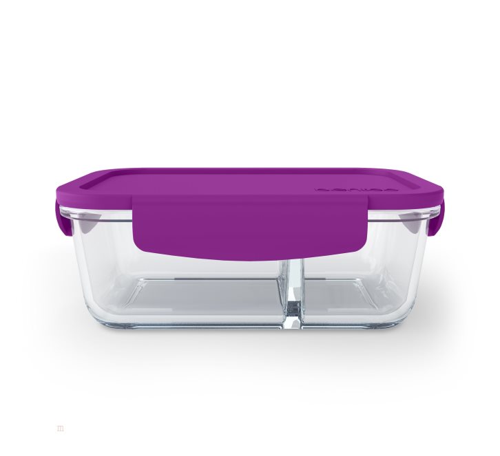 Purple Bentgo Glass Adults Snack Container USA | 571602VQJ