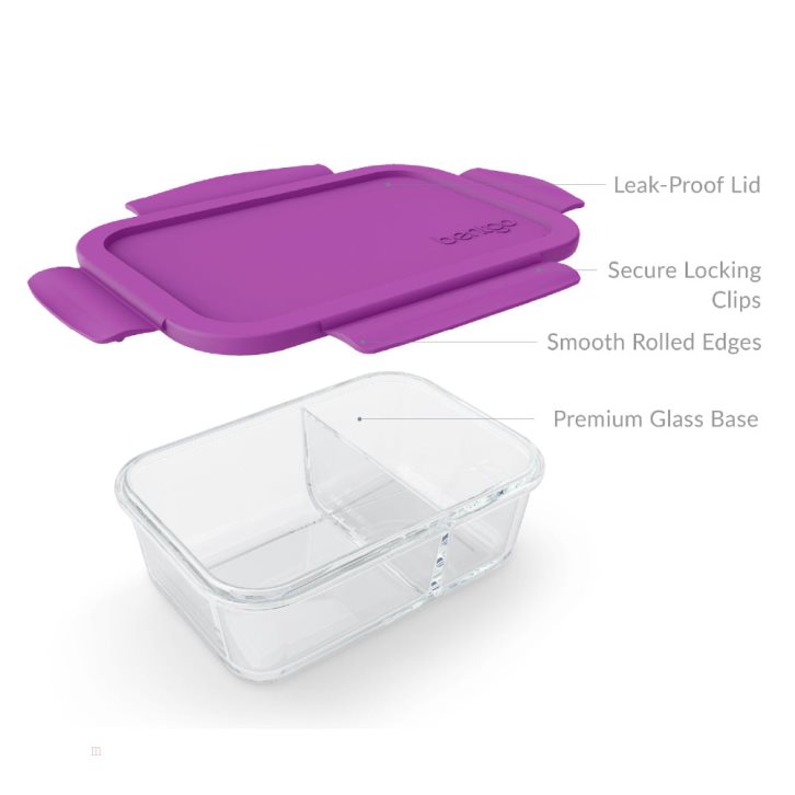 Purple Bentgo Glass Adults Snack Container USA | 571602VQJ