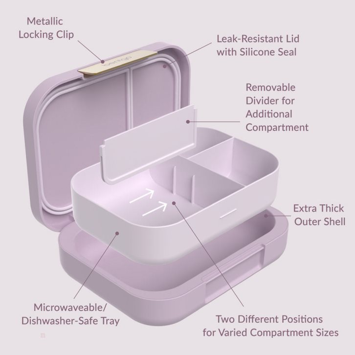 Purple Bentgo Modern Adults Lunch Box USA | 168920MTC