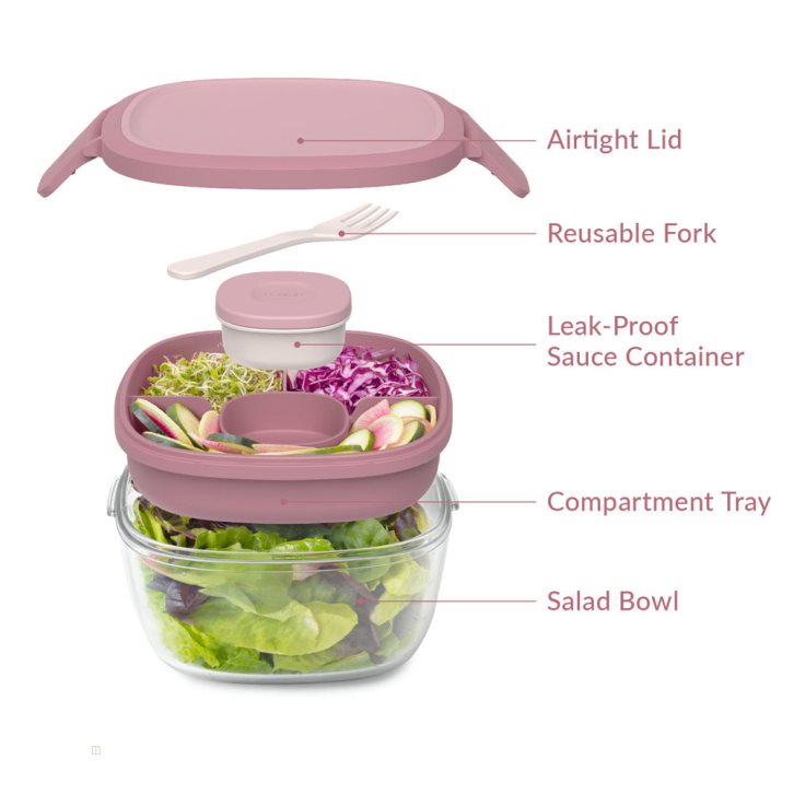 Rose Bentgo Glass Adults Salad Container USA | 902471ROI