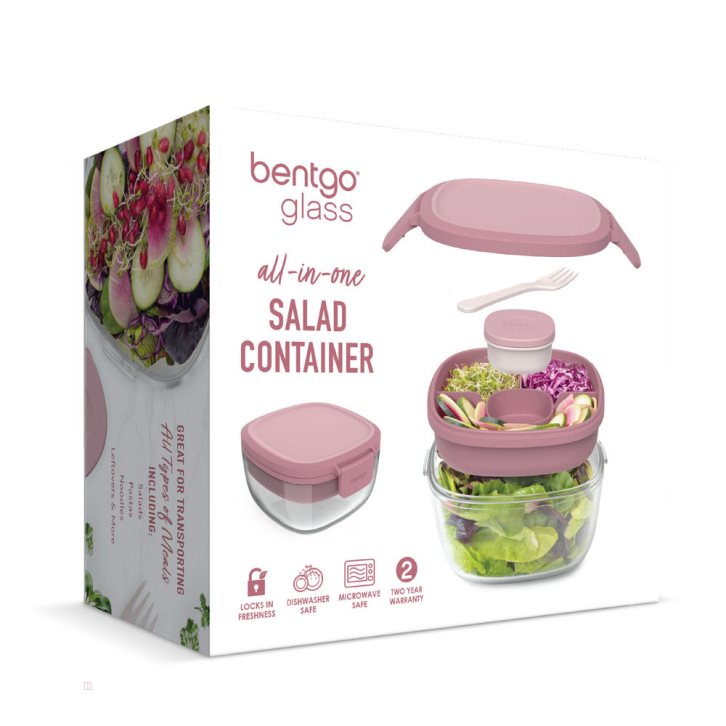 Rose Bentgo Glass Adults Salad Container USA | 902471ROI