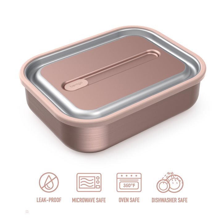 Rose Gold Bentgo MicroSteel Adults Lunch Box USA | 089627TUN