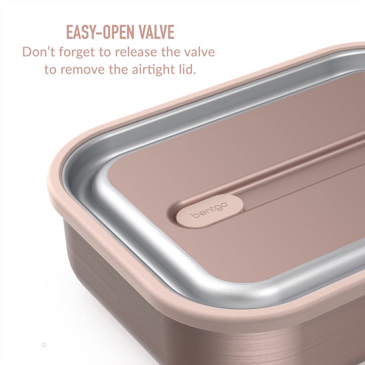 Rose Gold Bentgo MicroSteel Adults Lunch Box USA | 089627TUN