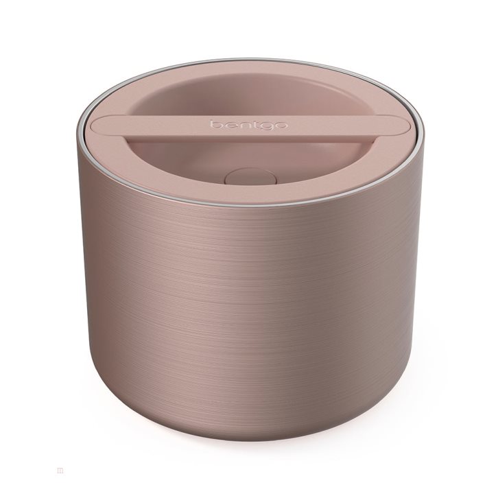 Rose Gold Bentgo Stainless Steel Insulated Adults Food Containers USA | 739162JHI